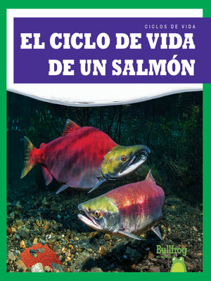 cover image of El ciclo de vida de un salmуn (A Salmon's Life Cycle)